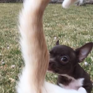 Meet your Posher, Paula